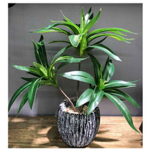 Creative Decoration Office Retro Artificial Flower Bonsai Home Versatile Ceramic Table Decoration Green Plant Bonsai