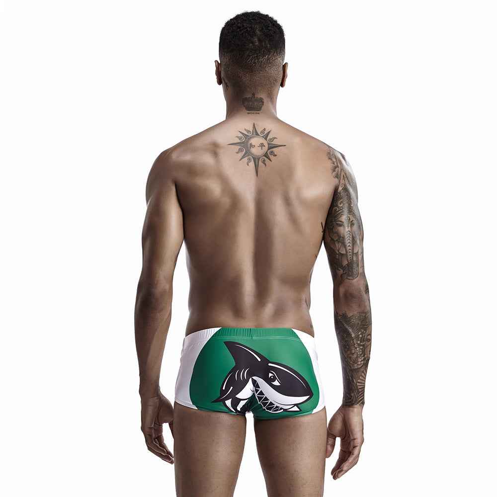 Boxer Print Swimming Trunks