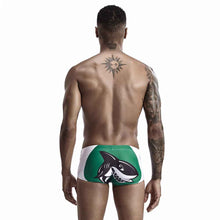 Boxer Print Swimming Trunks
