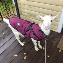 Waterproof Dog Clothes Winter Dog Coat With Harness Warm Pet Clothing Big Dog Jacket Chihuahua Labrador Coat Costume by Mirlaine Univers