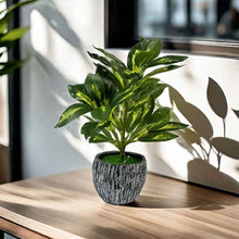 Artificial Green Plant Monstera Fake Flower Supermarket Feel