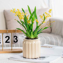 Self-absorbent Lazy Transparent Absorbent Flower Pot Creative Desktop Resin