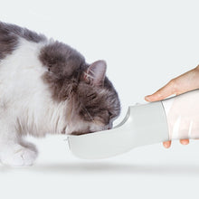 Traveling Out Portable Dog Water Dispenser by Mirlaine Univers