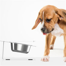 Anti-falling Cat Dog Feeding Water Bowl by Mirlaine Univers