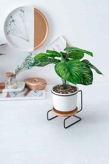 Geometric ceramic green plant pot