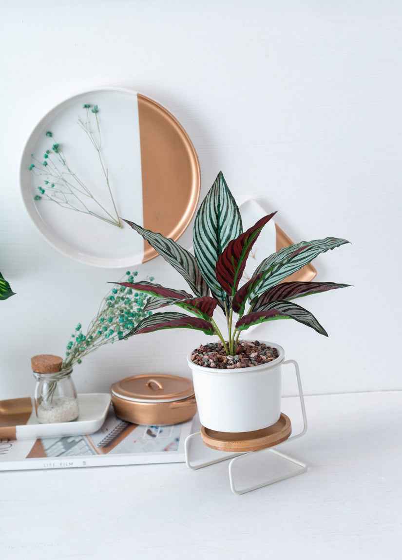 Geometric ceramic green plant pot
