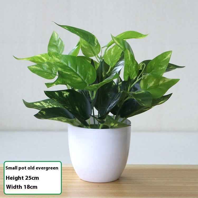 Simulation Plant Plastic Fake Flower And Grass Scindapsus Aureus Leaves Potted Plant