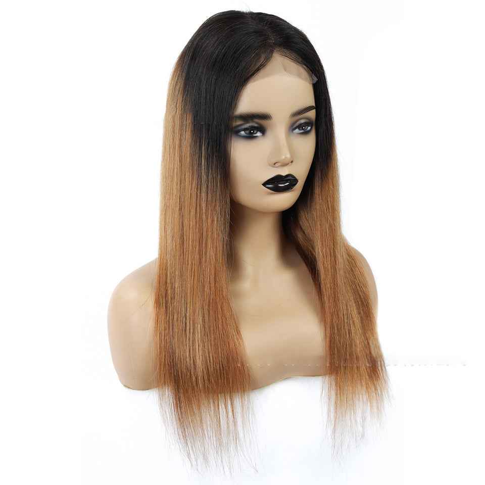 Malaysian Remy Martin Hair Gradient