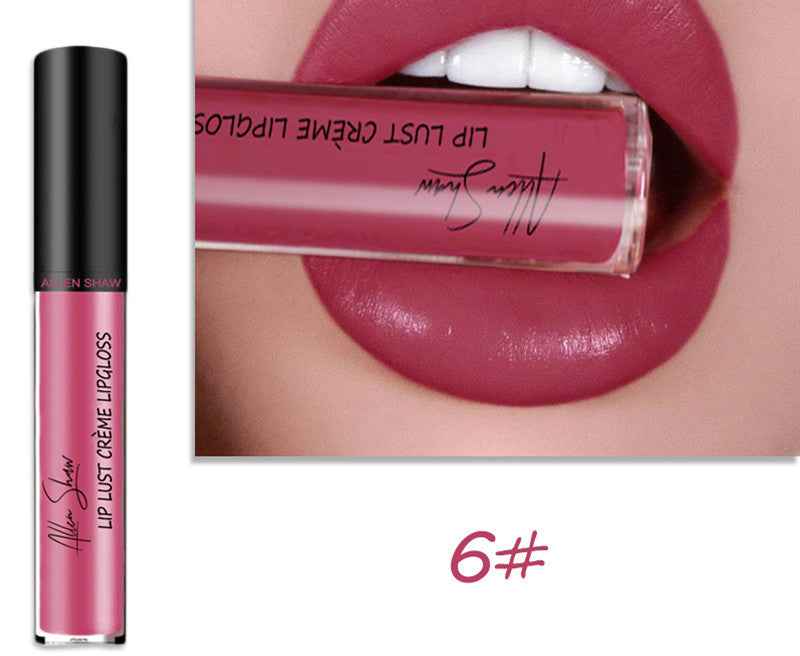 Silky Cream Texture Lip Gloss Aliexpress Shopee Cross-Border Exclusive Lip Glaze Lip Gloss Lipstick