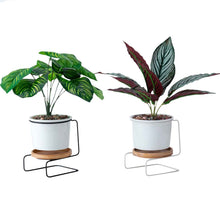 Geometric ceramic green plant pot