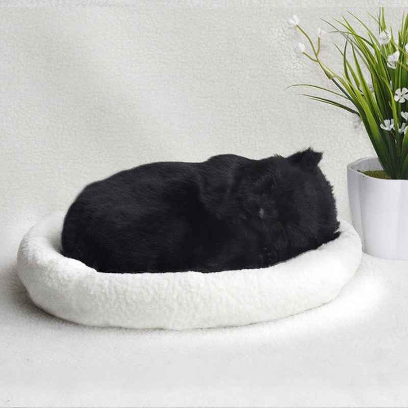 Decoration Creative Birthday Gifts Creative Gifts Crafts Cats That Breathe