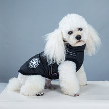 Waterproof Dog Clothes Winter Dog Coat With Harness Warm Pet Clothing Big Dog Jacket Chihuahua Labrador Coat Costume by Mirlaine Univers