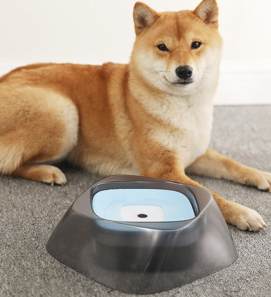 Pet Dog Bowl Floating Not Wetting Mouth Cat Bowl No Spill Drinking Water Feeder by Mirlaine Univers
