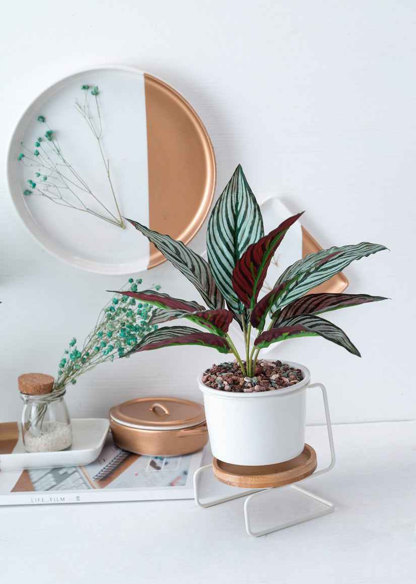 Geometric ceramic green plant pot