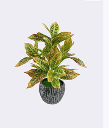Artificial Green Plant Monstera Fake Flower Supermarket Feel