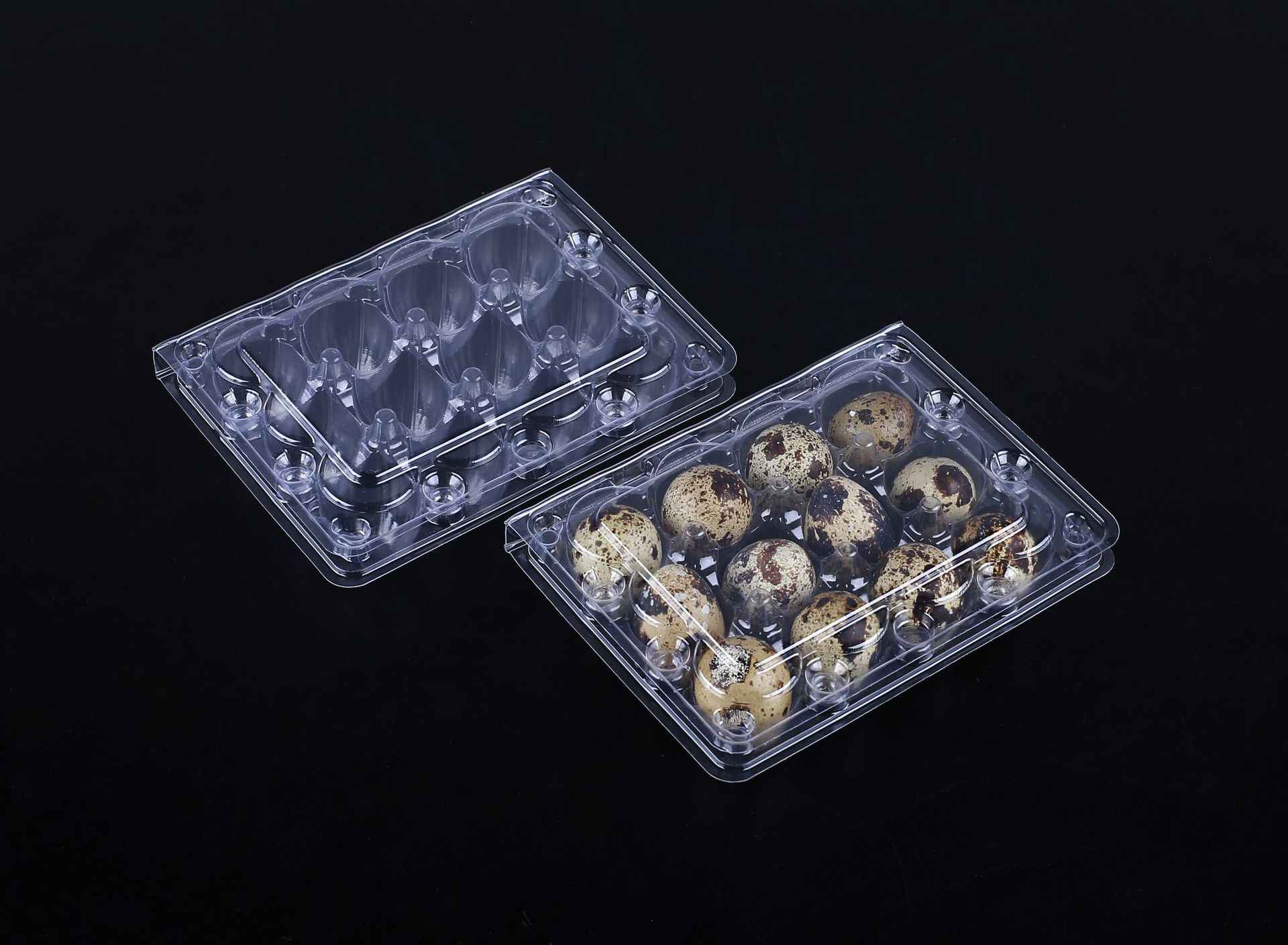 Box of 100 quail eggs