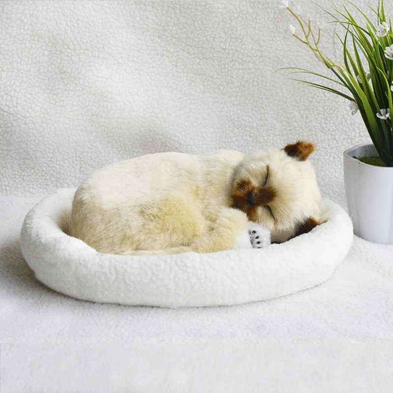Decoration Creative Birthday Gifts Creative Gifts Crafts Cats That Breathe