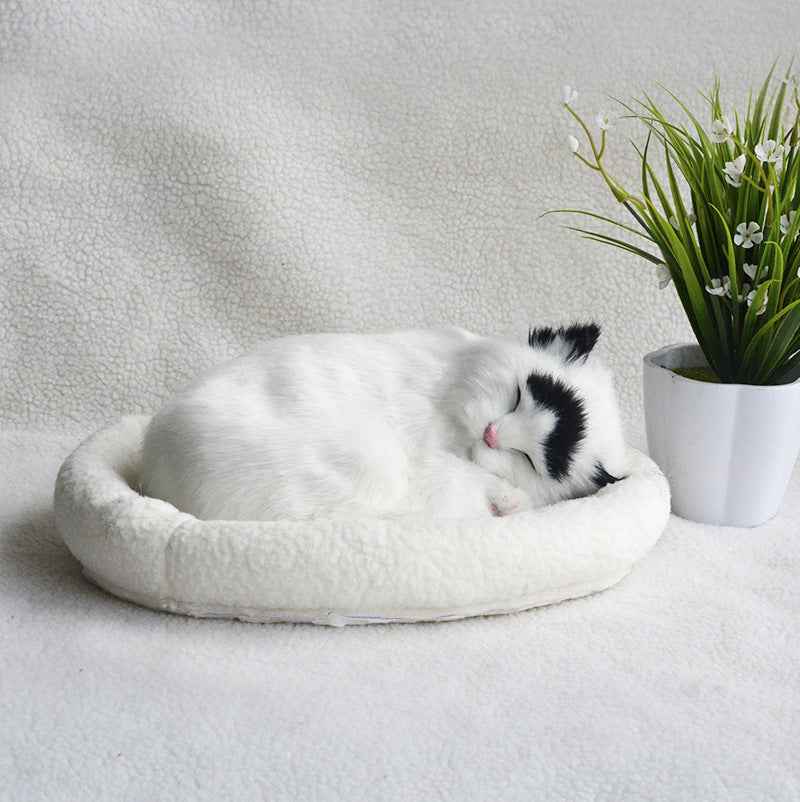 Decoration Creative Birthday Gifts Creative Gifts Crafts Cats That Breathe