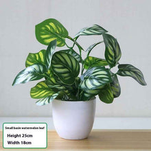 Simulation Plant Plastic Fake Flower And Grass Scindapsus Aureus Leaves Potted Plant