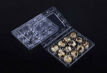 Box of 100 quail eggs