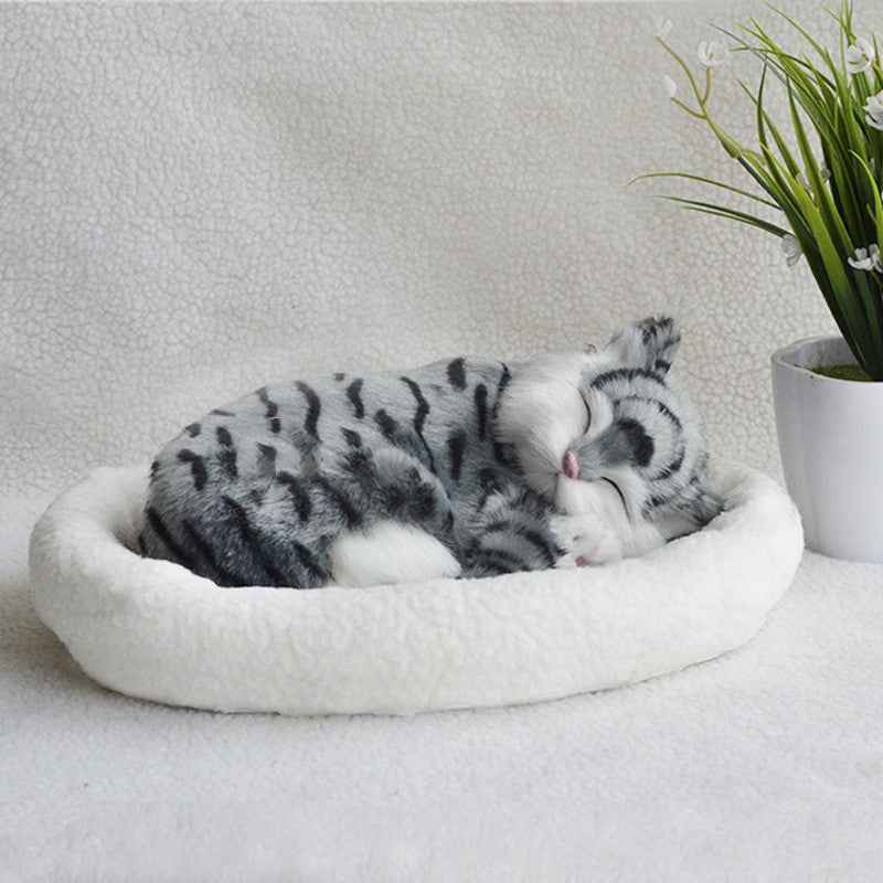 Decoration Creative Birthday Gifts Creative Gifts Crafts Cats That Breathe