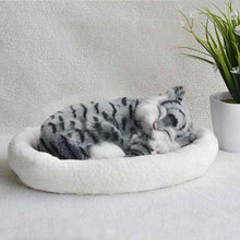 Decoration Creative Birthday Gifts Creative Gifts Crafts Cats That Breathe