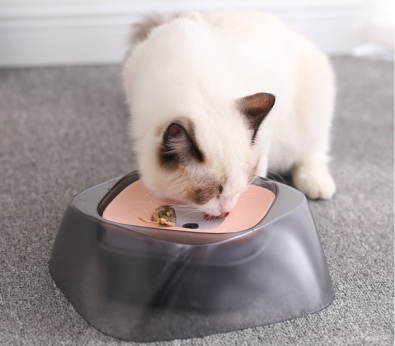 Pet Dog Bowl Floating Not Wetting Mouth Cat Bowl No Spill Drinking Water Feeder by Mirlaine Univers