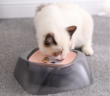Pet Dog Bowl Floating Not Wetting Mouth Cat Bowl No Spill Drinking Water Feeder by Mirlaine Univers