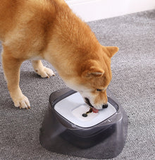 Pet Dog Bowl Floating Not Wetting Mouth Cat Bowl No Spill Drinking Water Feeder by Mirlaine Univers