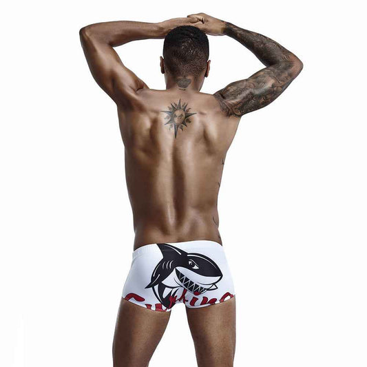 Boxer Print Swimming Trunks