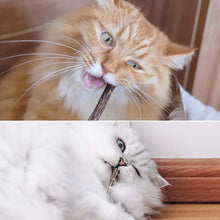 15pcs Natural Matatabi Cat Catnip Toy Kitten Molar Chew Stick Pet Cleaning Teeth Cat Treat Toy Actinidia Silvervine Pet Products