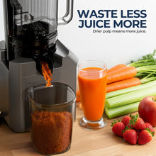 ROUNY Cold Press Extractor with Filter-Free, Easy Clean Electric Fruit Slow Juicer Machine with 130mm Large Feed Caliber,  Black