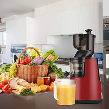 220V Cold Press Juicer Home Slag Separation Ginger Fruit Vegetable Juice Extractor Multifunctional Fruit Slow Juicer Automatic