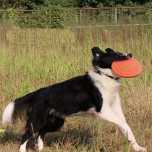 Jouet soucoupe volante interactif en silicone pour chiens et chats, disque volant résistant à la mastication, jeu pour animaux de compagnie idéal pour le dressage des chiots