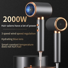 HOMEFISH 2000W Salon Hair Dryer with Hot/Cold Air Brush Negative Ionic Technology 5th Gear Strong Power Hairdryer without Comb