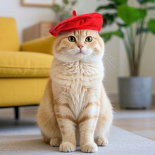Cute Adorable Cat Beret Hat Red Black Pet Costume Accessories Cat Dog Caps Fashionable Pet Headwear for Photos & Parties