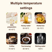 12V/24V/110V/220V Temperature Control Electric Kettle Car Travel Insulation Heating Cup 500ml Hot Water Boiler Coffee Tea Bottle