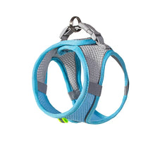Dog Harness Leash Set for Small Dogs Adjustable Puppy Cat Harness Vest French Bulldog Chihuahua Pug Outdoor Walking Lead Leash
