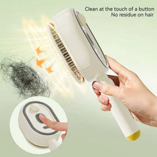 Electric Steam Brush with Water Spray Rechargeable Steams Hair Straightener for Detangling Smoothing Styling & Frizz Control