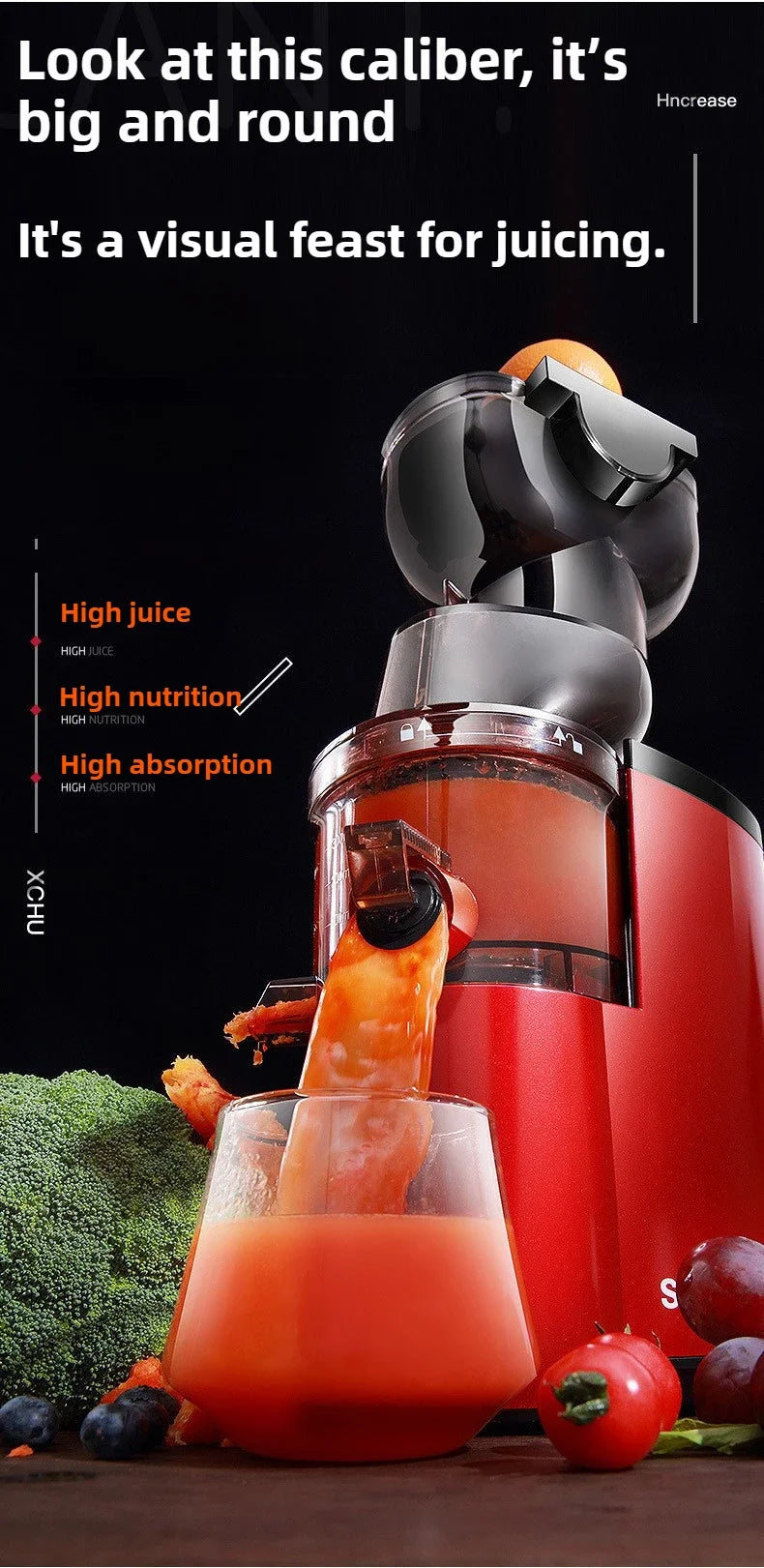 220V Cold Press Juicer Home Slag Separation Ginger Fruit Vegetable Juice Extractor Multifunctional Fruit Slow Juicer Automatic
