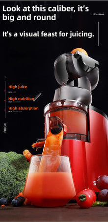 220V Cold Press Juicer Home Slag Separation Ginger Fruit Vegetable Juice Extractor Multifunctional Fruit Slow Juicer Automatic