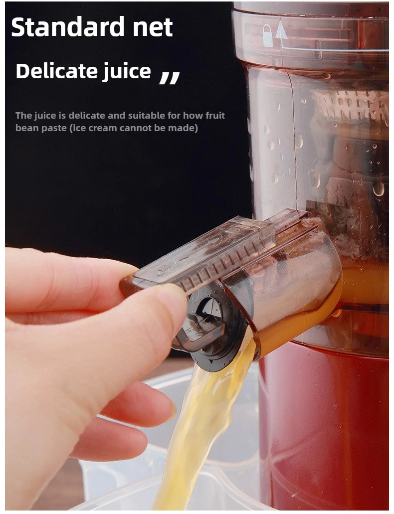 220V Cold Press Juicer Home Slag Separation Ginger Fruit Vegetable Juice Extractor Multifunctional Fruit Slow Juicer Automatic