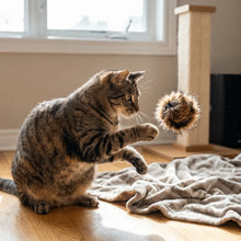 Washable Soft Fluffy Rabbit Fur Cat Rabbit Fur Scratch Resistant Cat Teaser Ball Bite Resistant Fluffy Pet Indoor
