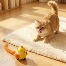 Creative Wind Up Bird Shape Interactive Cat Tail Pull Play Bird Cat Teaser Sounding Bite-Resistant Cat Exercise Indoor Fun