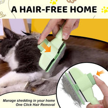 Self-Cleaning One-Button Dog Comb Pet Hair Remover Cat Brush Massage Grooming Combs for Dogs And Pets