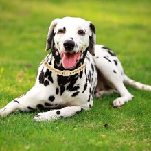 Collier pour chien chaîne cubaine en acier inoxydable avec boucle de sécurité réglable pour races petites et moyennes