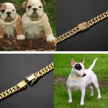 Collier pour chien chaîne cubaine en acier inoxydable avec boucle de sécurité réglable pour races petites et moyennes