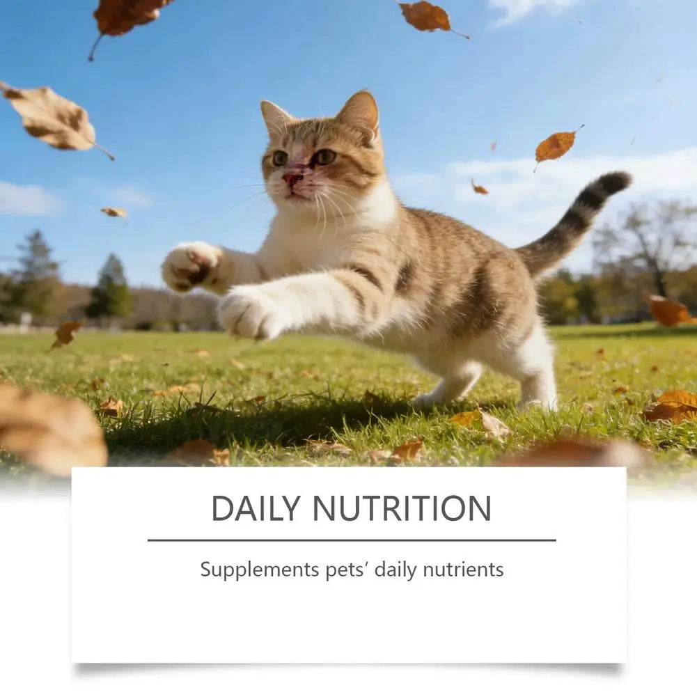 Cat Taurine Powder Supplement Eye & Heart Health Support, Essential Feline Nutrition Natural Pet Vitamins for Kittens Adult Cats