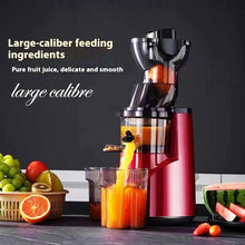 220V Cold Press Juicer Home Slag Separation Ginger Fruit Vegetable Juice Extractor Multifunctional Fruit Slow Juicer Automatic