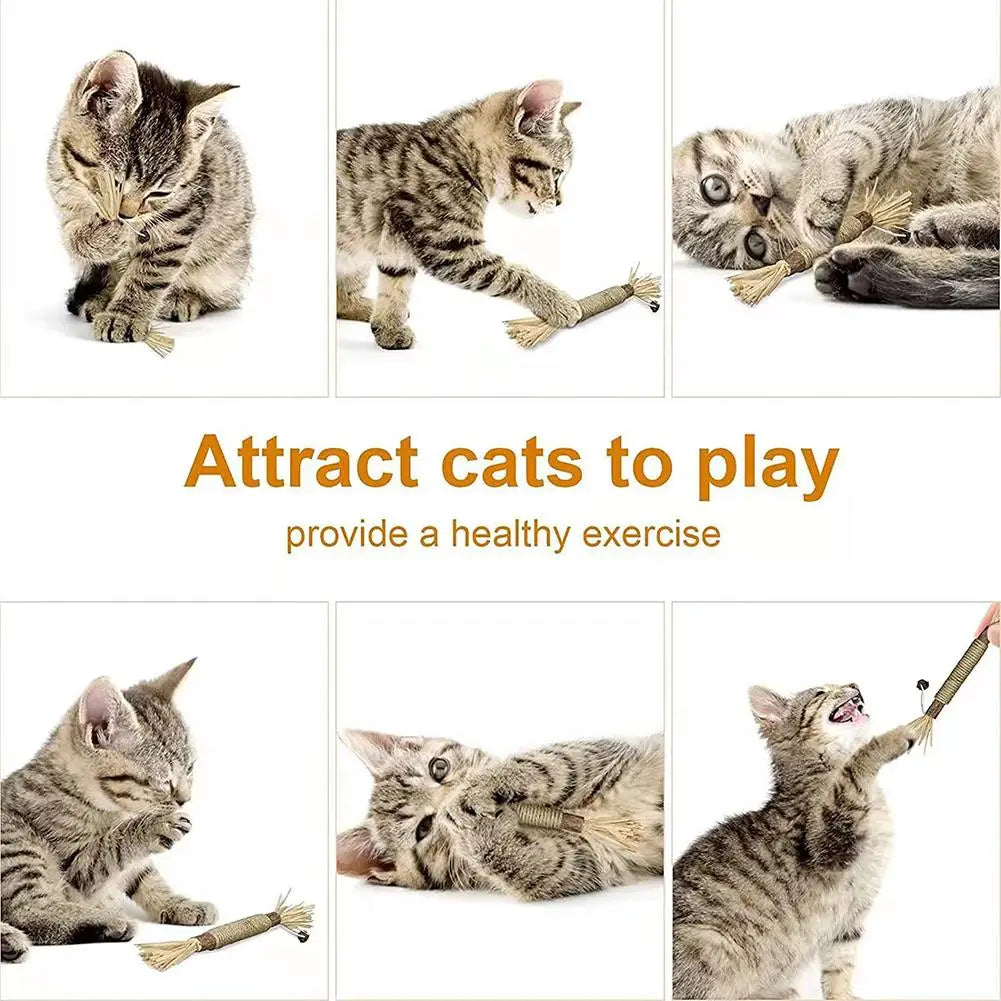 Cat Silver Vine Teeth Grinding Rod Natural Catnip Cat Toy Dental Care Wood Toy For Cat Bite Resistant Tooth Cleaning Supplies